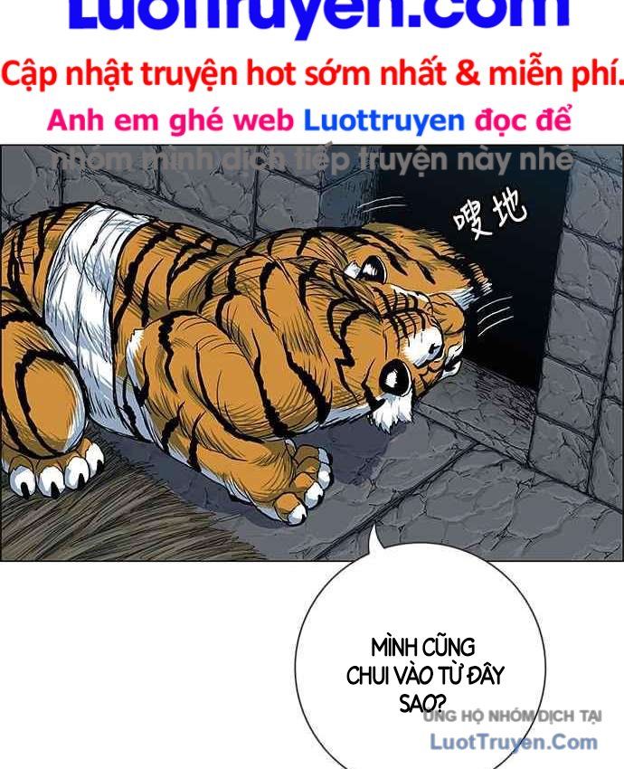 Anh Trai Tôi Là Hổ
