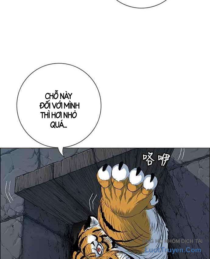 Anh Trai Tôi Là Hổ