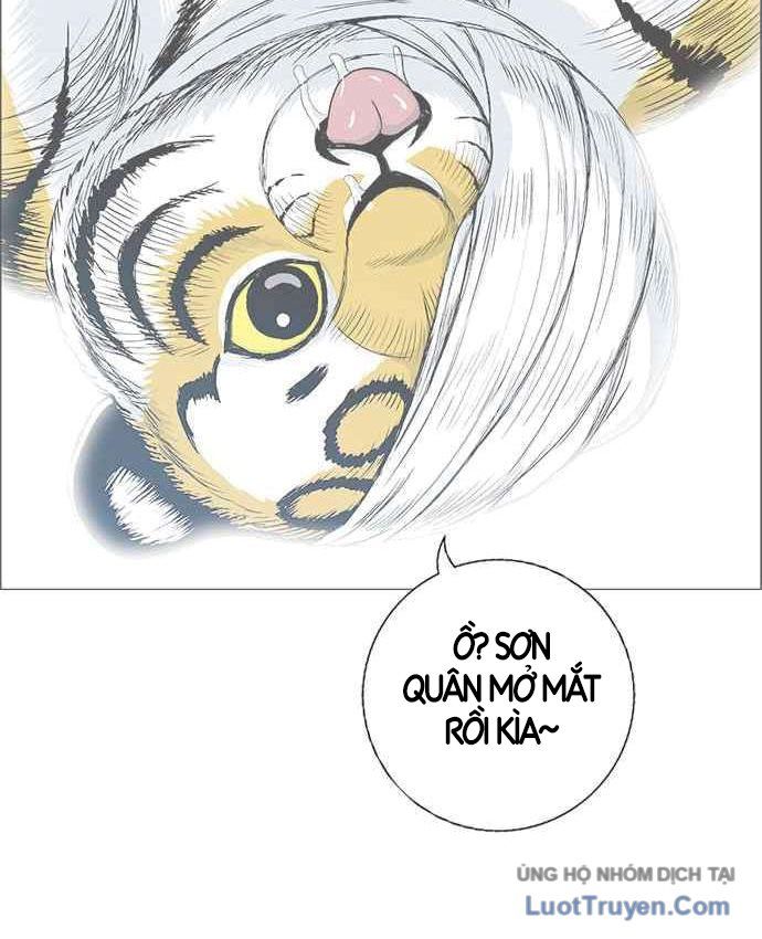 Anh Trai Tôi Là Hổ
