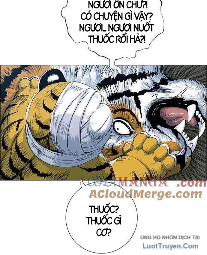 Anh Trai Tôi Là Hổ
