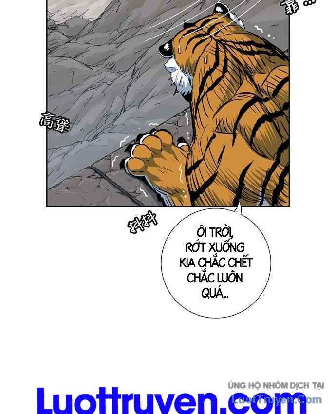 Anh Trai Tôi Là Hổ