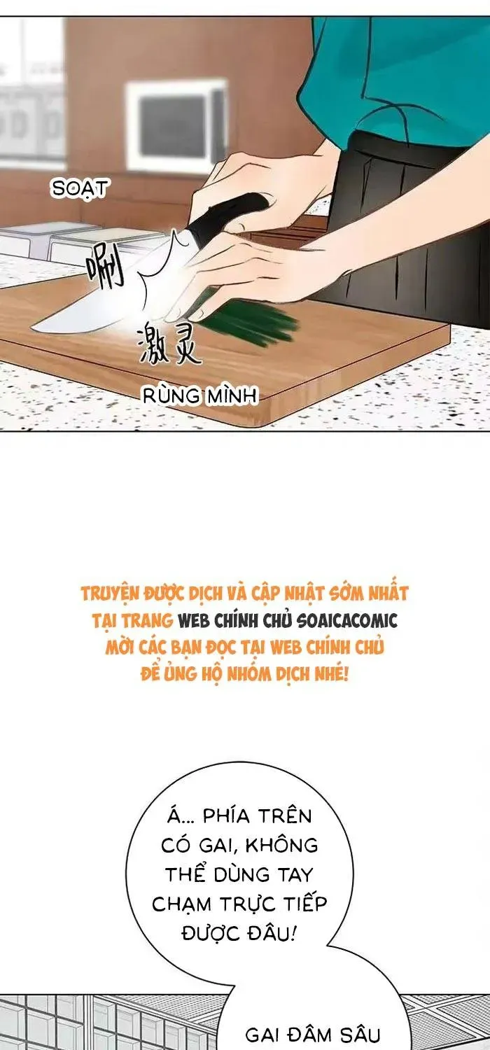 Vượt Ranh Vì Một Chữ Nợ - Chapter 27 - truyendanghot.com