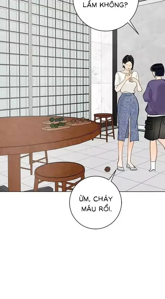 Vượt Ranh Vì Một Chữ Nợ - Chapter 27 - truyendanghot.com