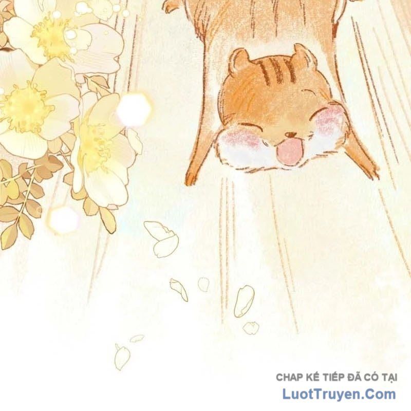 Thợ Săn Của Lớp Gà Con Chap 58 - Next Chap 57