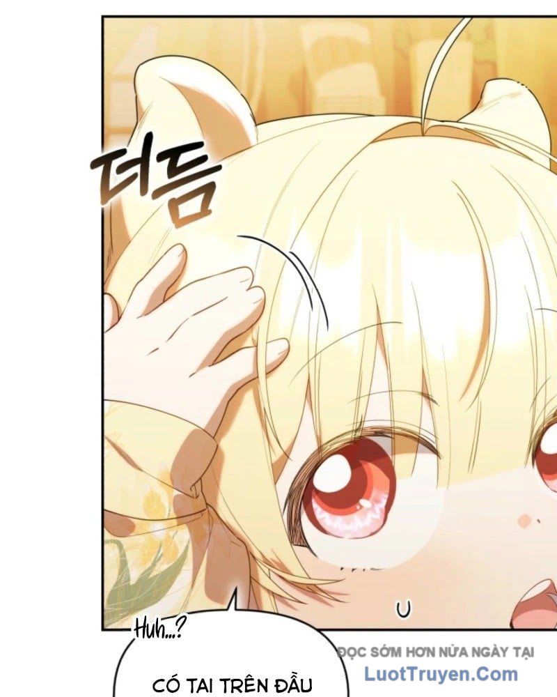 Thợ Săn Của Lớp Gà Con Chap 63 - Next Chap 60