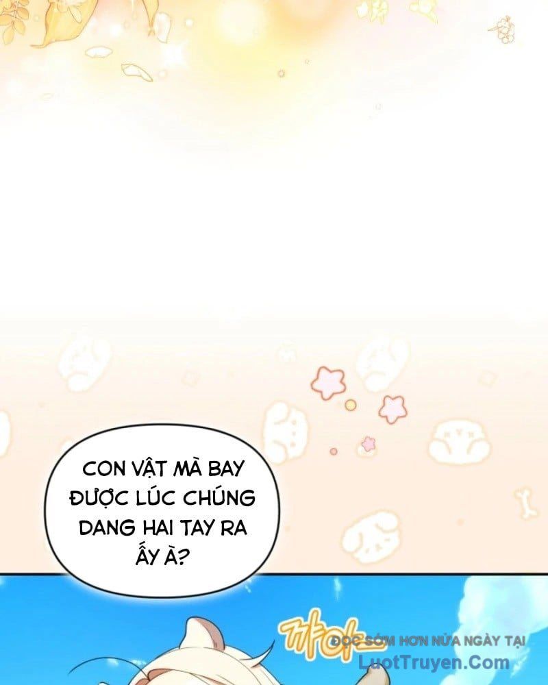 Thợ Săn Của Lớp Gà Con Chap 63 - Next Chap 60