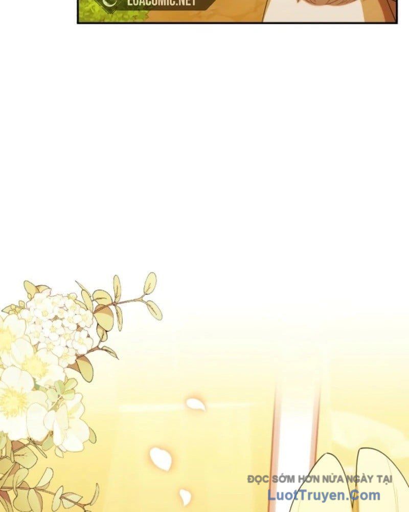 Thợ Săn Của Lớp Gà Con Chap 63 - Next Chap 60