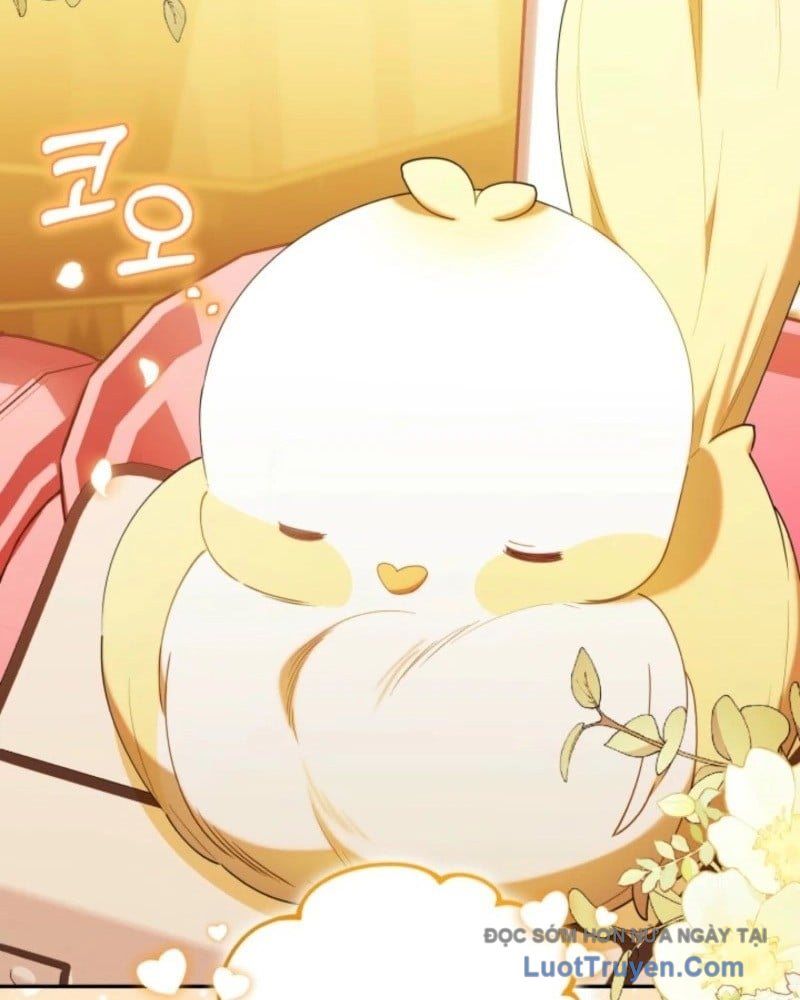 Thợ Săn Của Lớp Gà Con Chap 63 - Next Chap 60