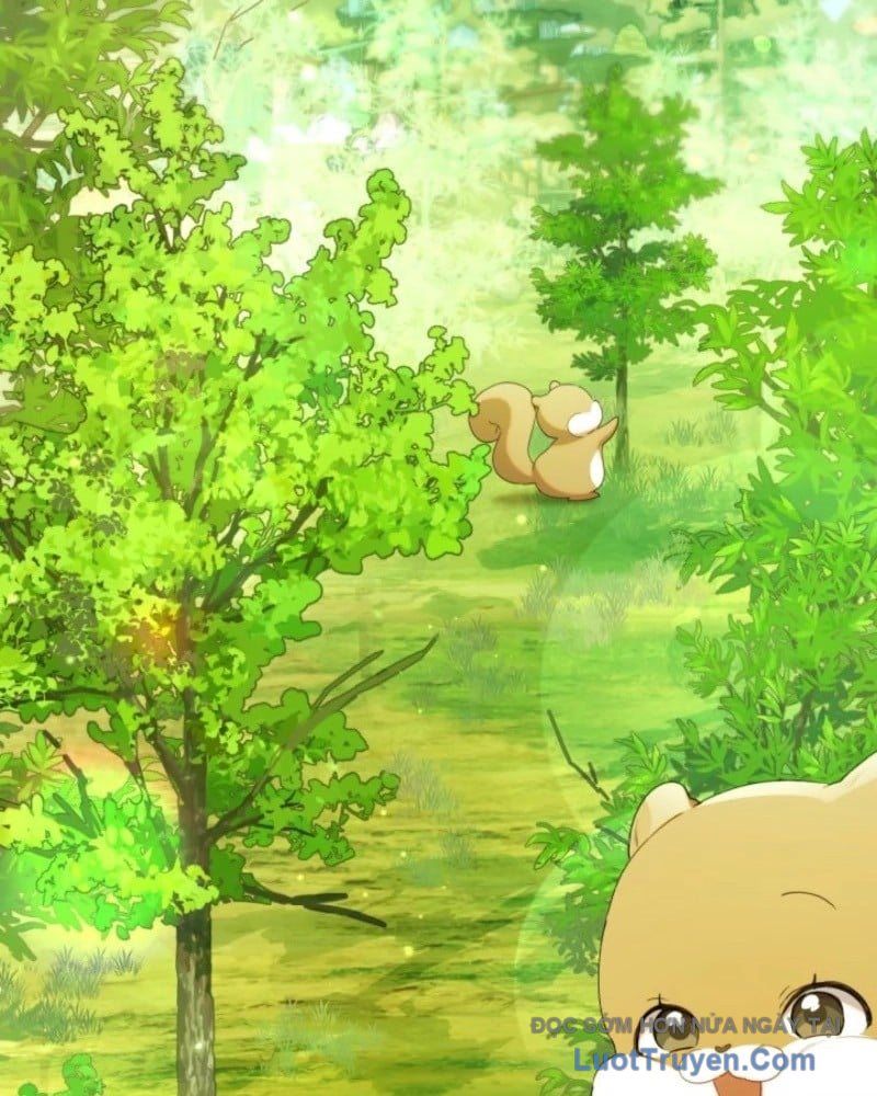 Thợ Săn Của Lớp Gà Con Chap 63 - Next Chap 60