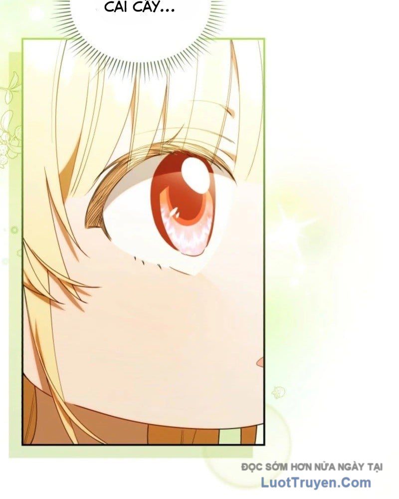 Thợ Săn Của Lớp Gà Con Chap 63 - Next Chap 60