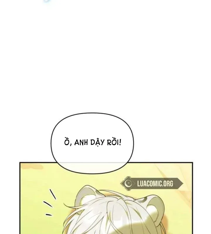Thợ Săn Của Lớp Gà Con Chap 64 - Next Chap 63