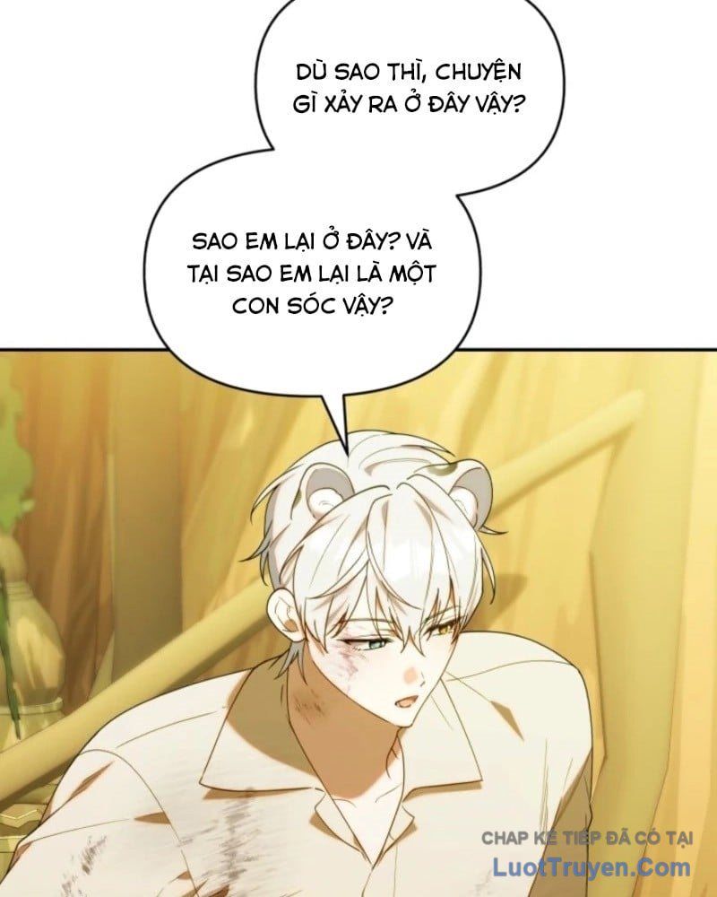 Thợ Săn Của Lớp Gà Con Chap 65 - Next Chap 64
