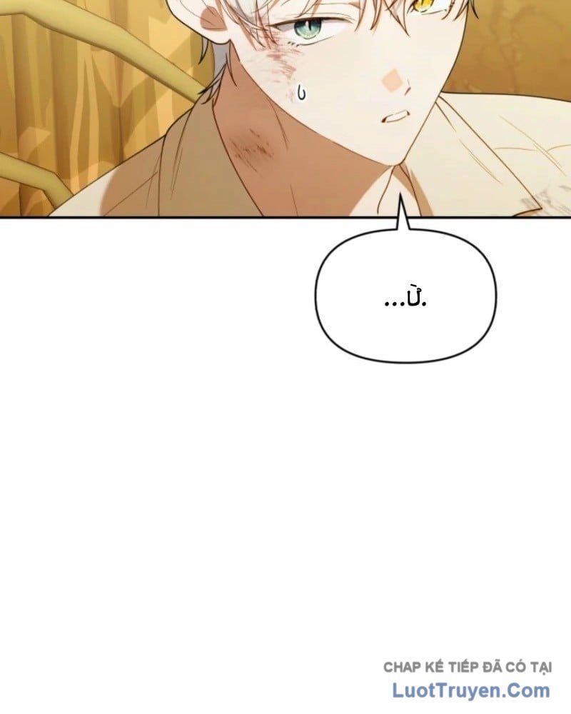 Thợ Săn Của Lớp Gà Con Chap 65 - Next Chap 64