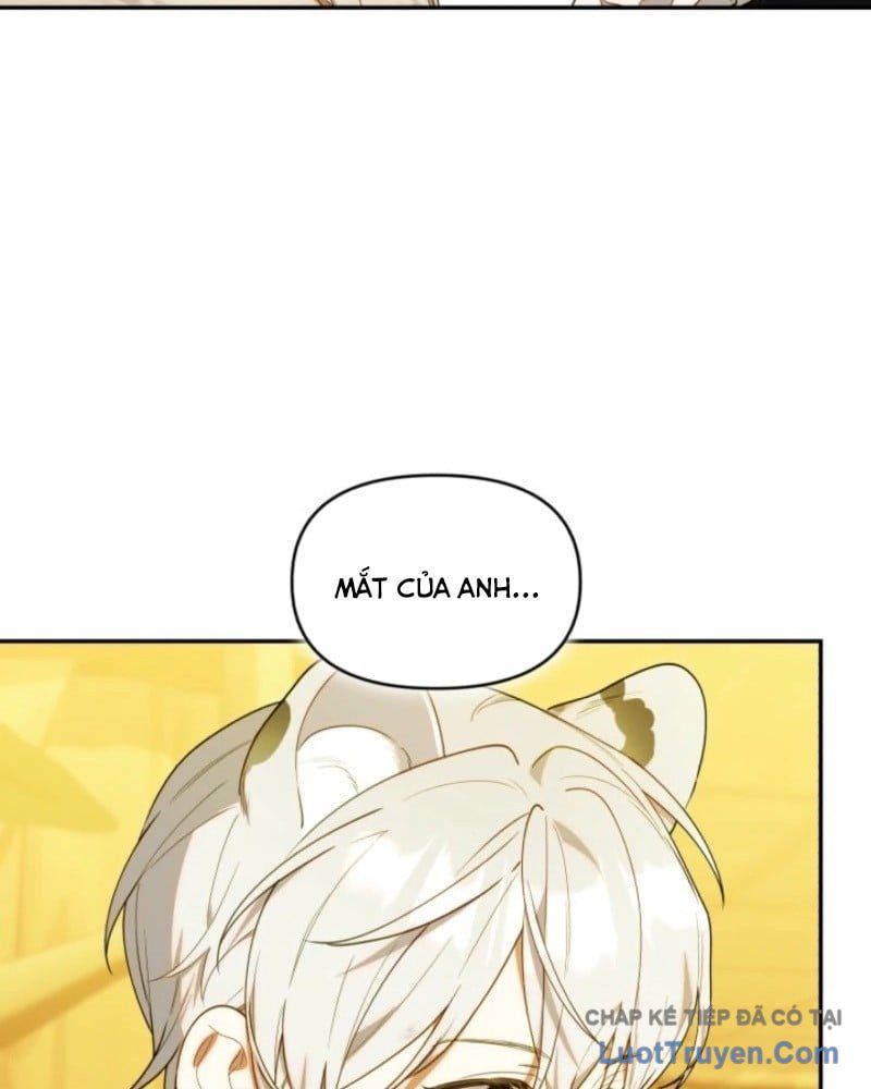 Thợ Săn Của Lớp Gà Con Chap 65 - Next Chap 64