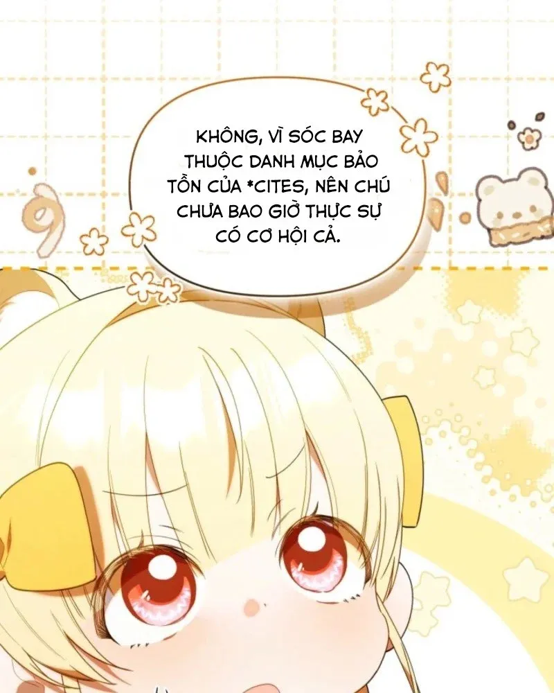 Thợ Săn Của Lớp Gà Con Chap 65 - Next Chap 64