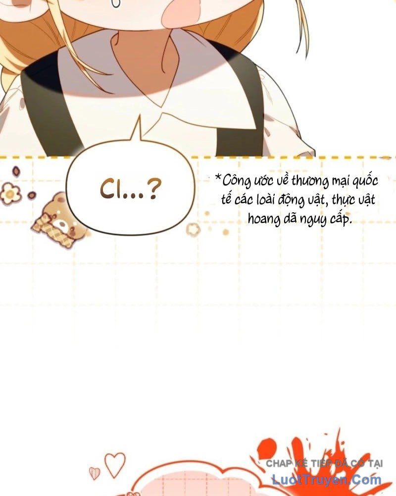 Thợ Săn Của Lớp Gà Con Chap 65 - Next Chap 64