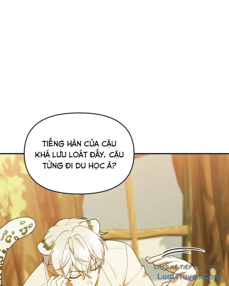 Thợ Săn Của Lớp Gà Con Chap 66 - Next Chap 65
