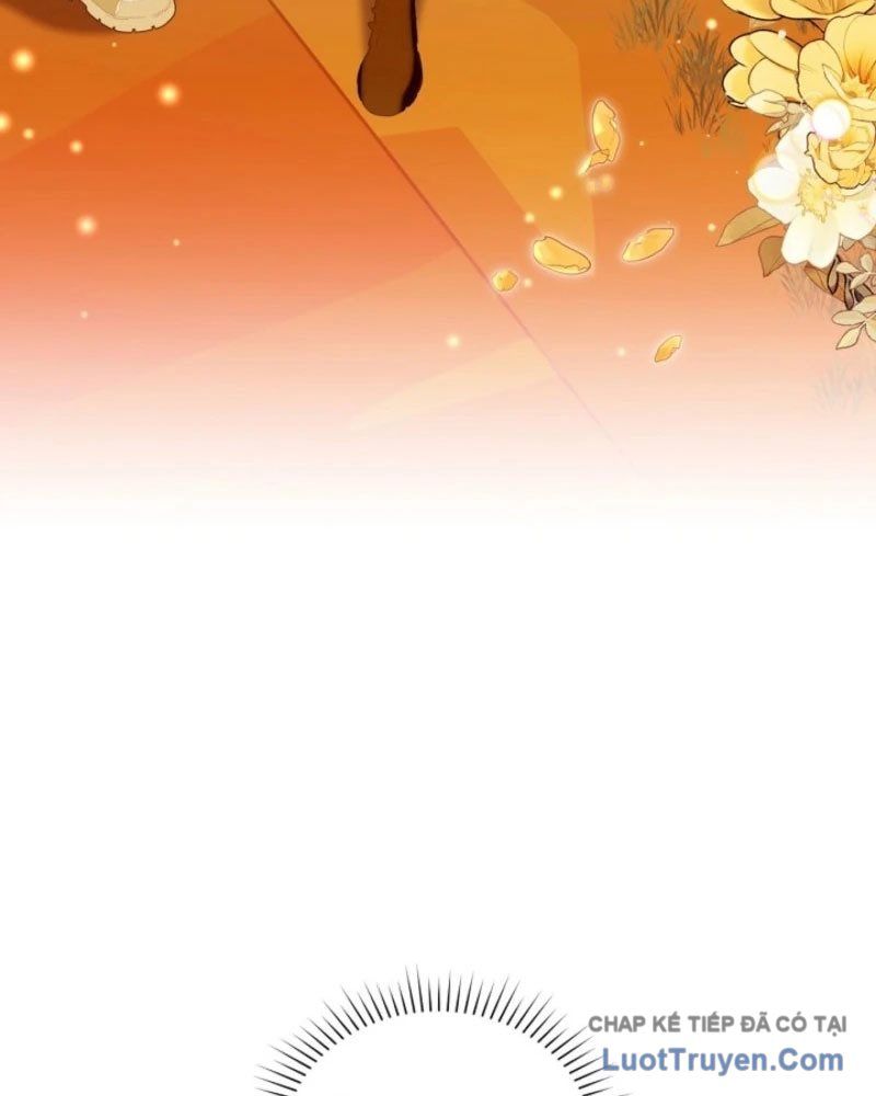 Thợ Săn Của Lớp Gà Con Chap 68 - Next Chap 67