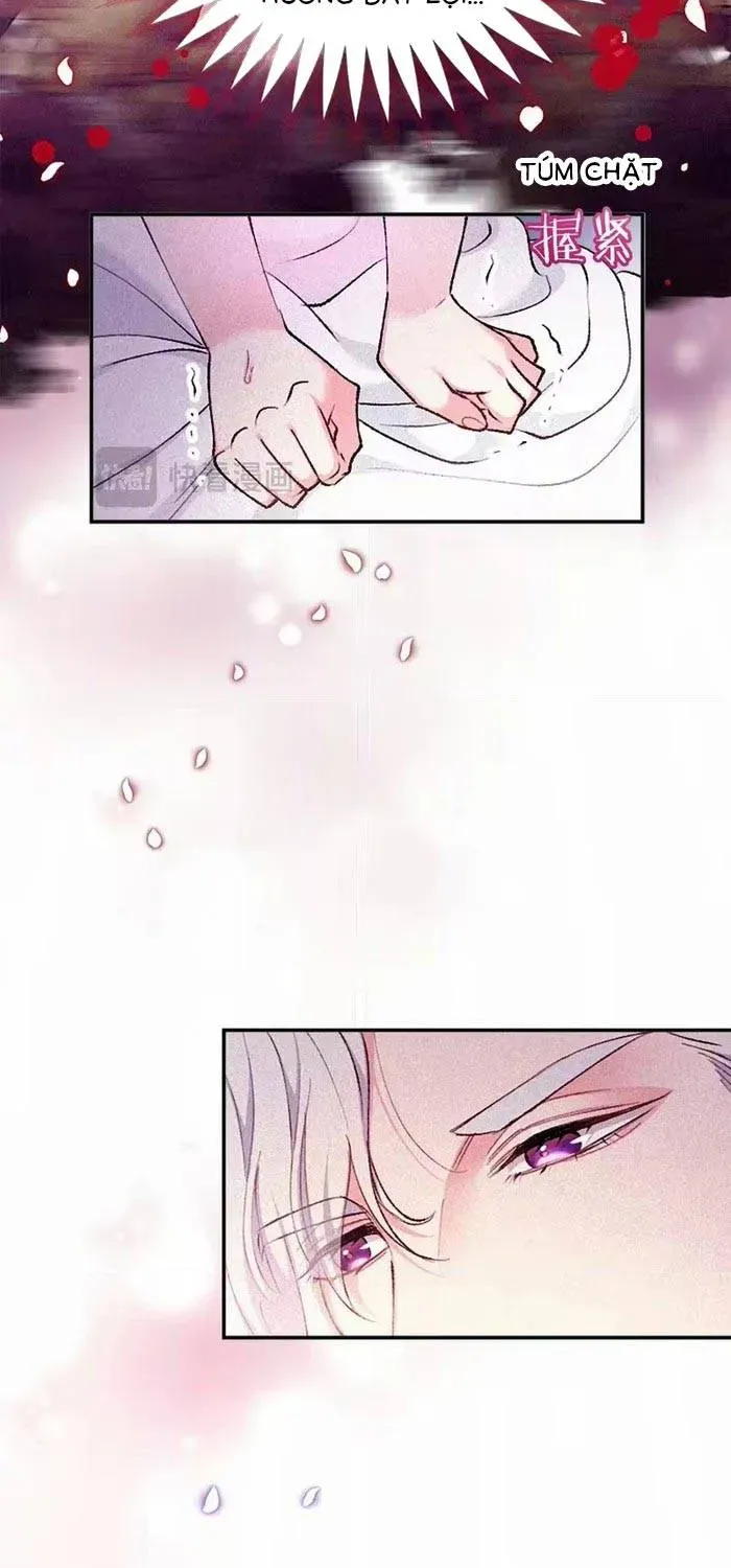 Bệ Hạ, Xin Hãy Ghét Ta - Chapter 37 - truyendanghot.com