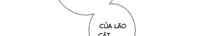 Ta Có Thể Thấy Tỉ Lệ Thành Công - Chapter 237 - truyendanghot.com