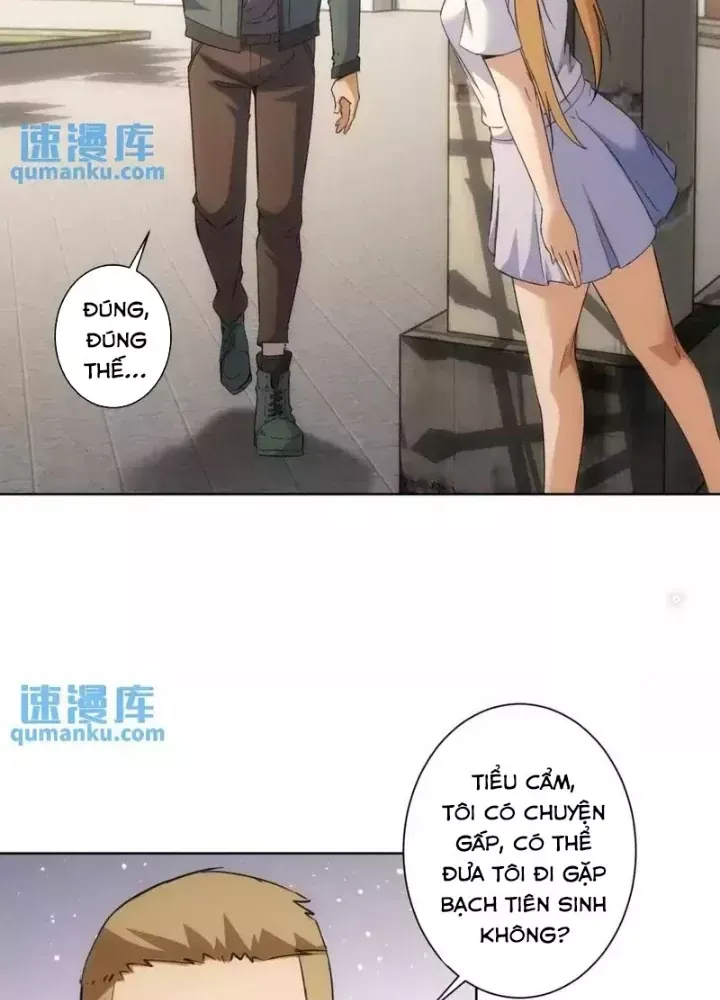 Ta Có Thể Thấy Tỉ Lệ Thành Công - Chapter 250 - truyendanghot.com