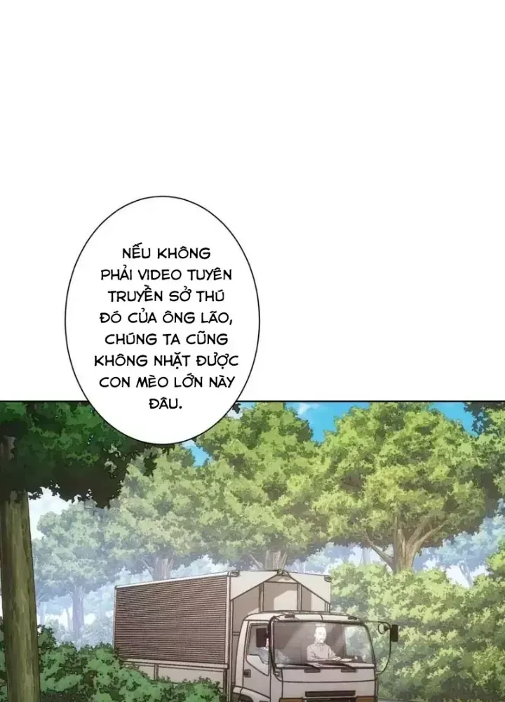 Ta Có Thể Thấy Tỉ Lệ Thành Công - Chapter 250 - truyendanghot.com