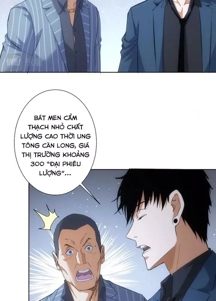 Ta Có Thể Thấy Tỉ Lệ Thành Công - Chapter 258 - truyendanghot.com