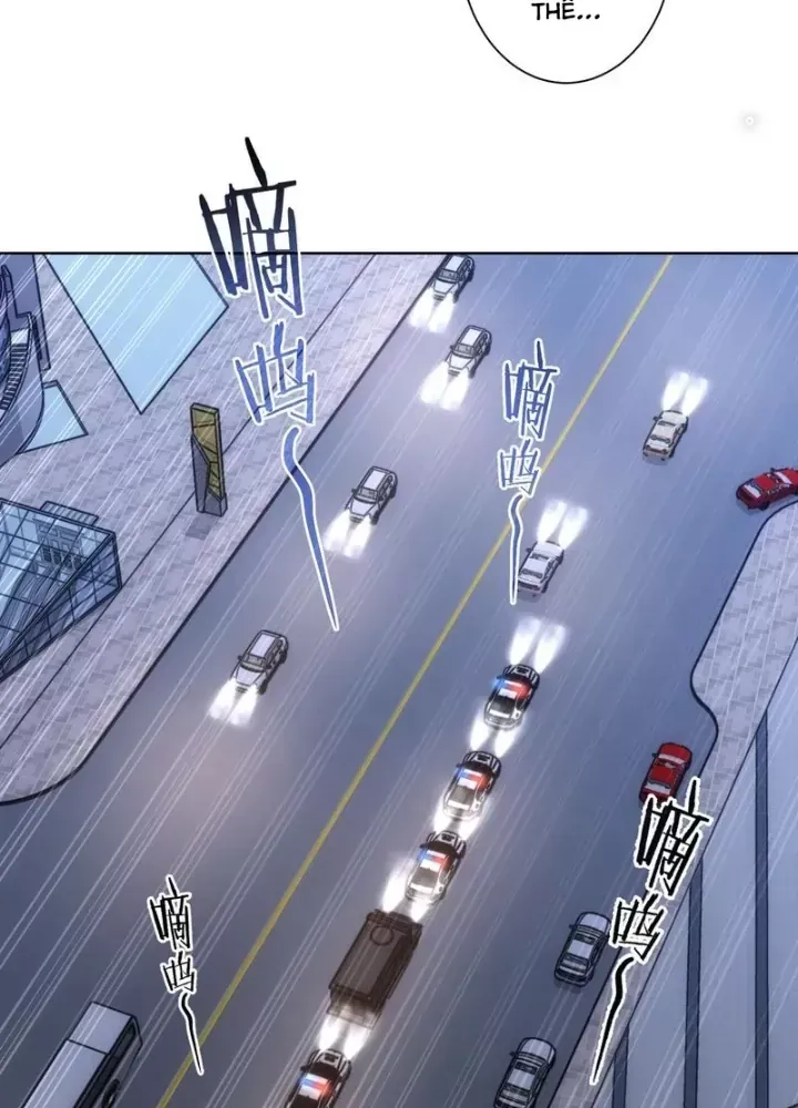 Ta Có Thể Thấy Tỉ Lệ Thành Công - Chapter 258 - truyendanghot.com