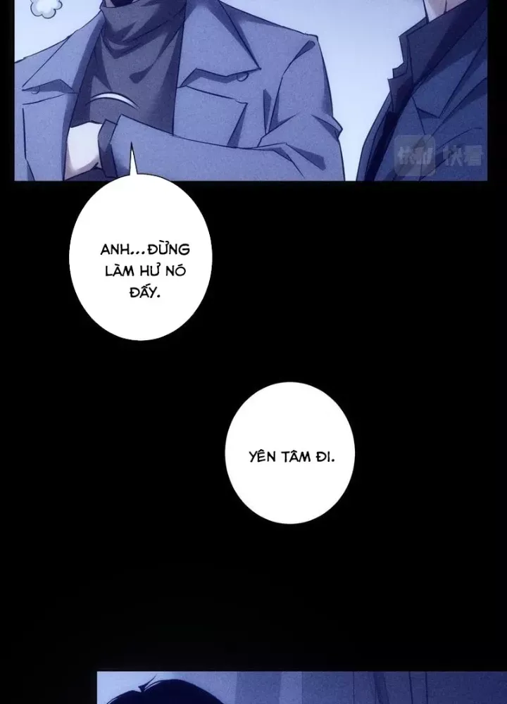 Ta Có Thể Thấy Tỉ Lệ Thành Công - Chapter 267 - truyendanghot.com