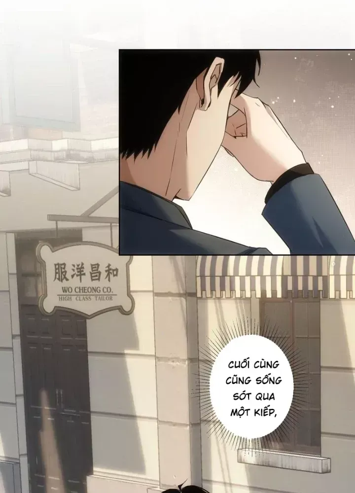 Ta Có Thể Thấy Tỉ Lệ Thành Công - Chapter 272 - truyendanghot.com