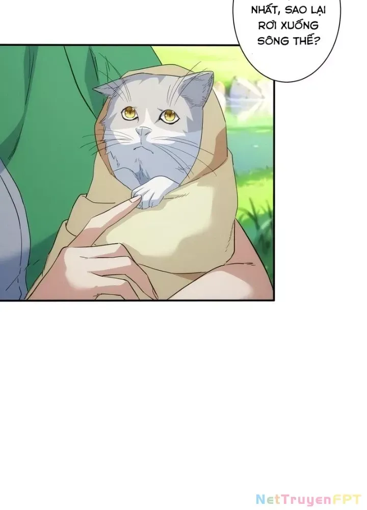 Ta Có Thể Thấy Tỉ Lệ Thành Công - Chapter 330 - truyendanghot.com