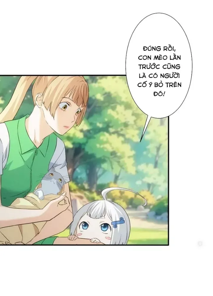 Ta Có Thể Thấy Tỉ Lệ Thành Công - Chapter 330 - truyendanghot.com