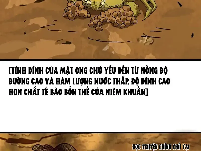 Bắt Đầu Từ Việc Trùng Sinh Thành Niêm Khuẩn