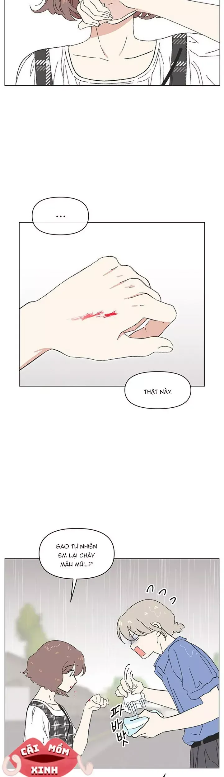 Seasons Of Lovesome - Chapter 73 - truyendanghot.com