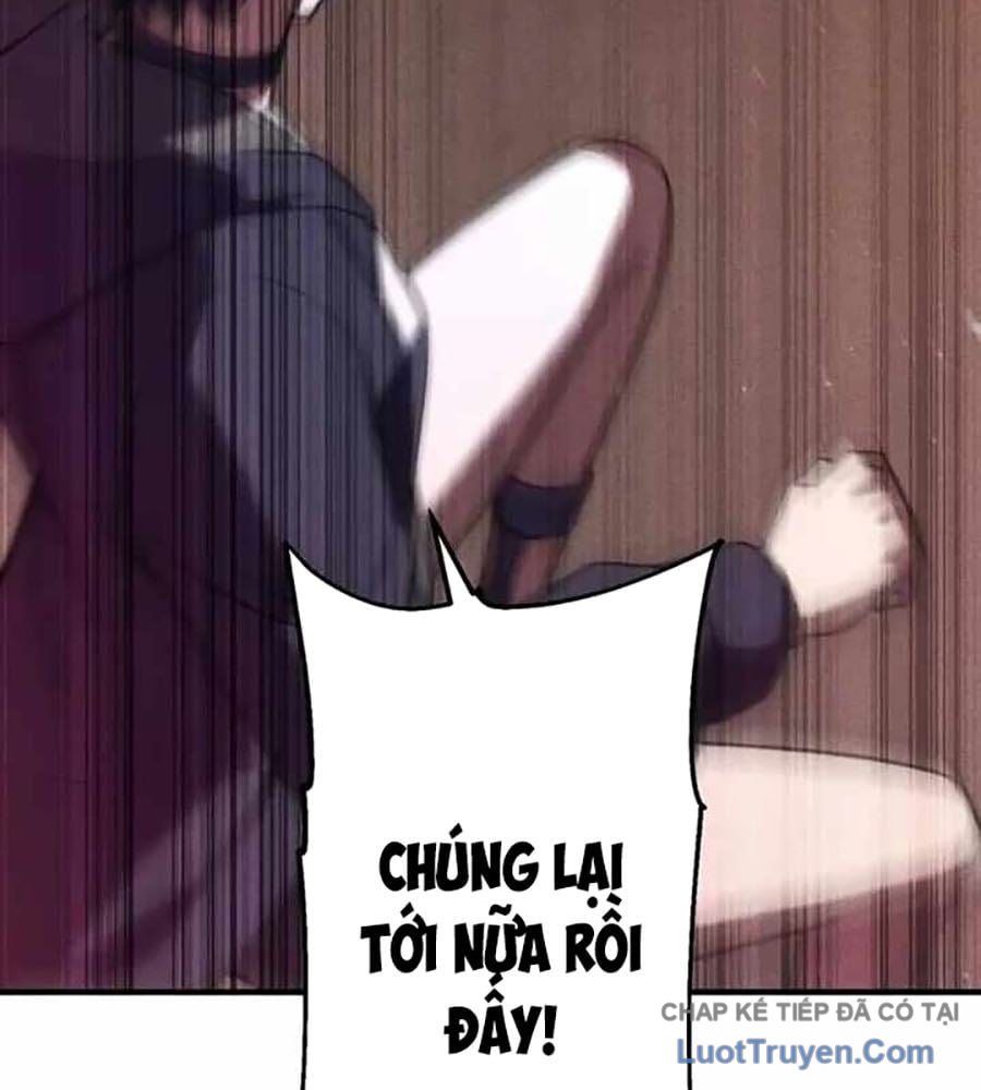 Anh Hùng Tái Xuất Học Viện