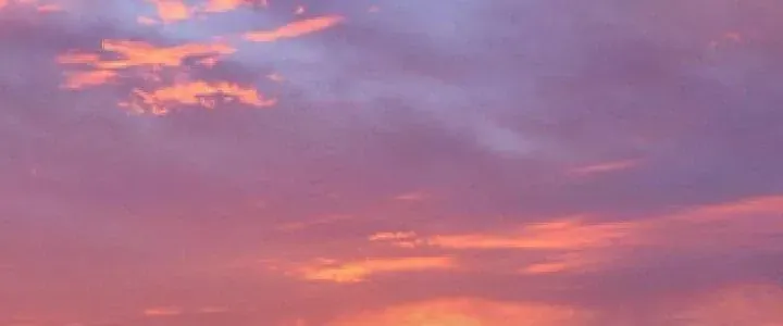 Ta là lão đại thời tận thế Chap 88 - Next Chap 52