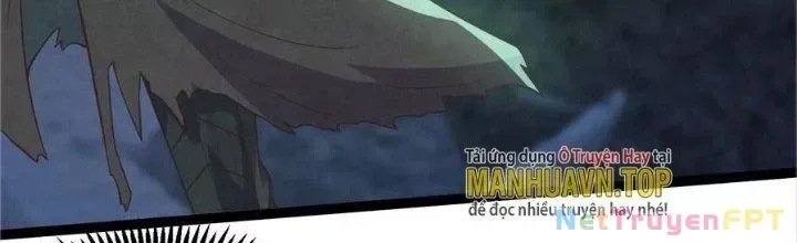 Trở Về Làm Đại Lão Thời Mạt Thế Chap 306 - Next Chap 305