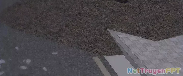 Trở Về Làm Đại Lão Thời Mạt Thế Chap 306 - Next Chap 305