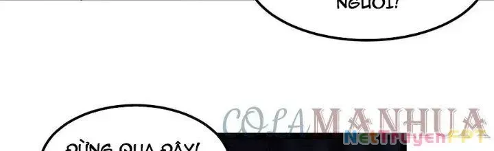 Trở Về Làm Đại Lão Thời Mạt Thế Chap 306 - Next Chap 305