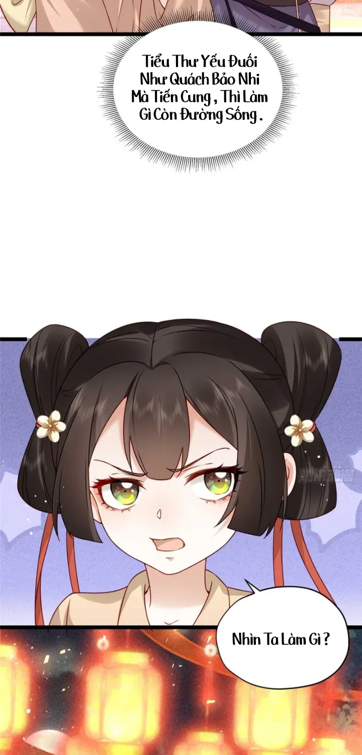 Đại Đế Cơ