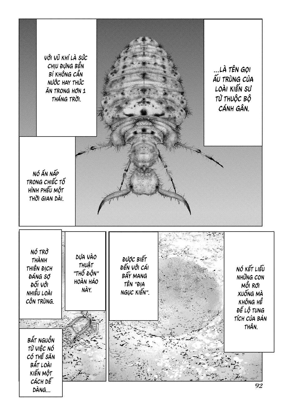 Choubu No Shinobi