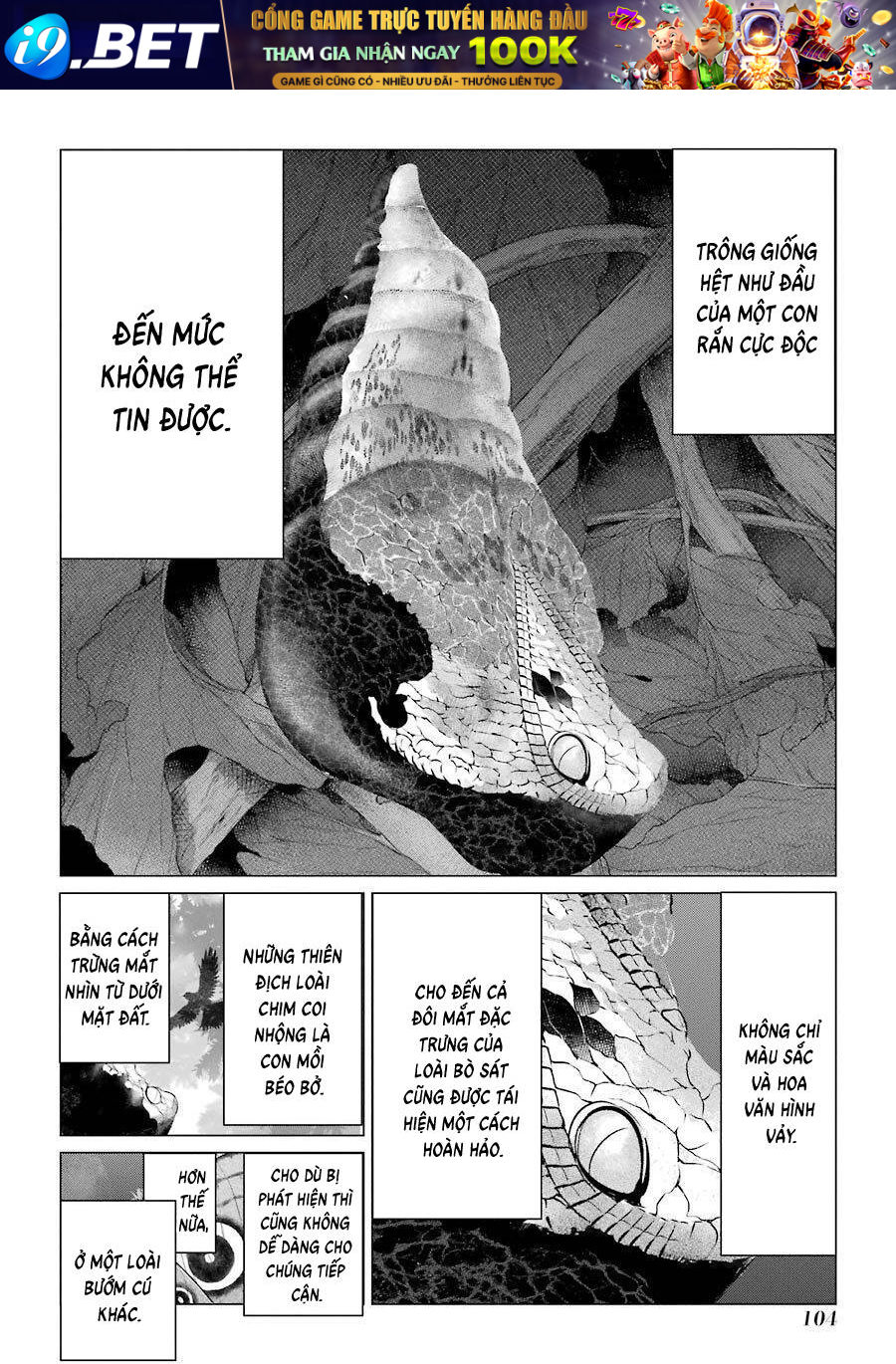 Choubu No Shinobi
