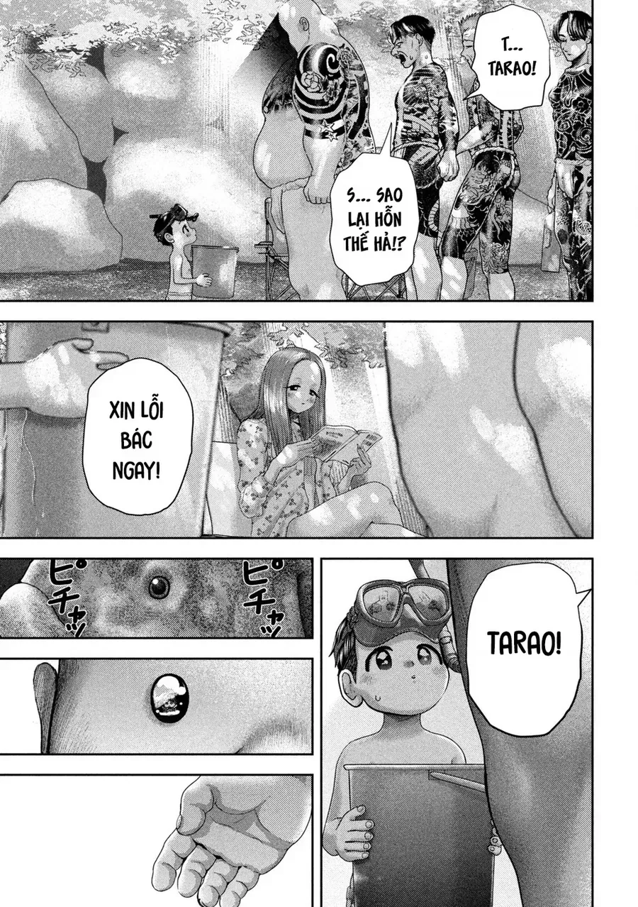 Trang 12