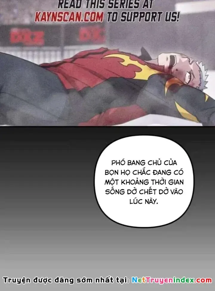 Cuộc Đời Mới Của Cường Giả