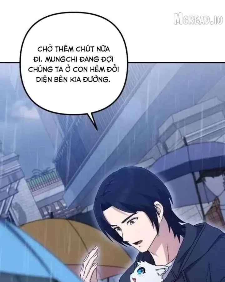 Cuộc Đời Mới Của Cường Giả